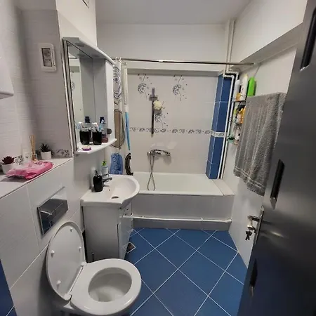 For Rent In * 康斯坦察